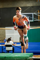 AMHS Girls Gymnastics