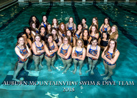 AMHS Girls Swim and Dive 2018